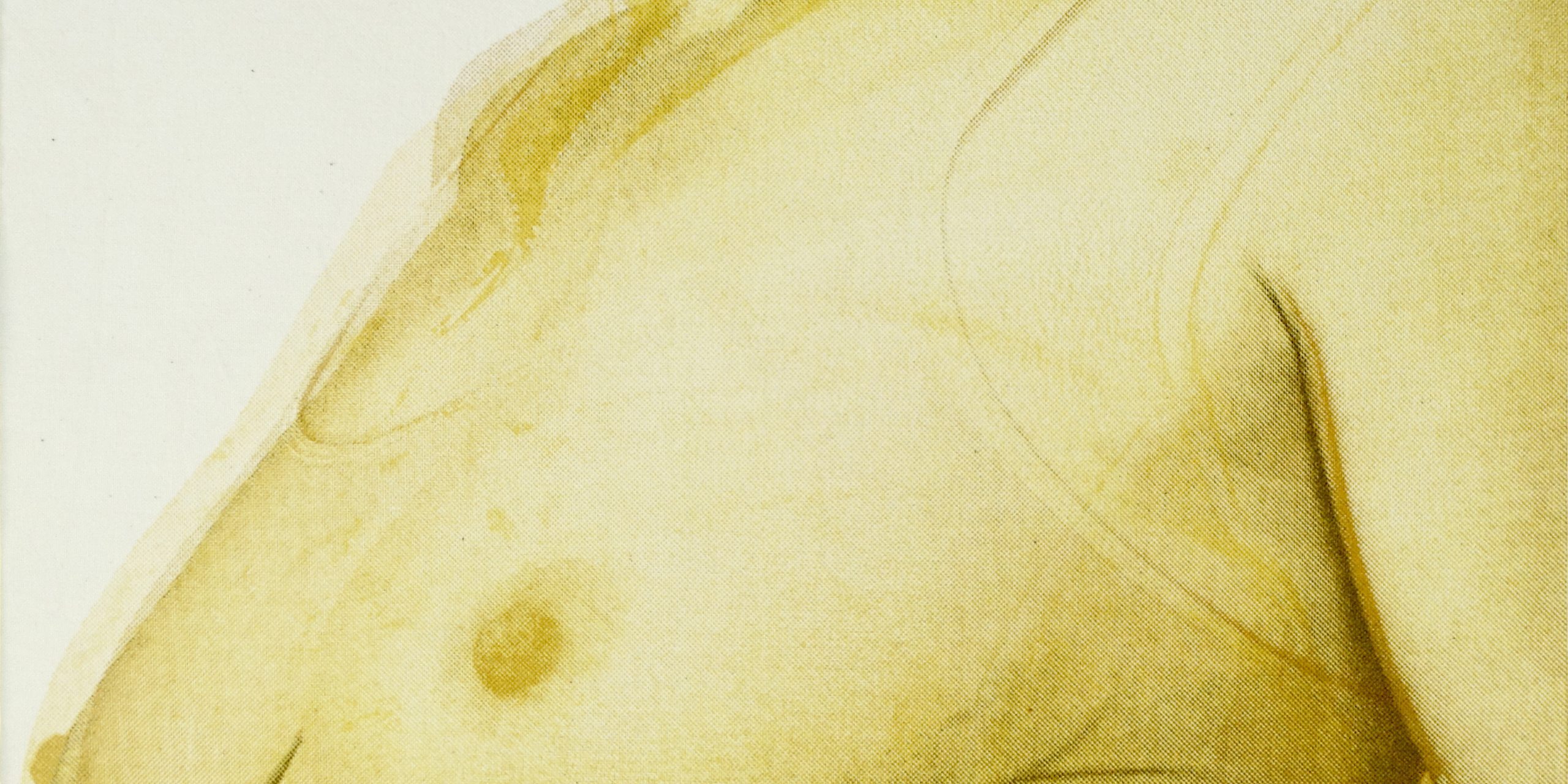 CHIBIDZIURA Helga (Austria) printmaking, screenprint on canvas